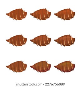 Ilustración de taro dibujada por vectores con varios colores y cantidad de detalles