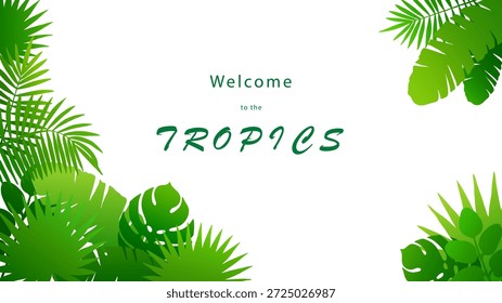 Vector dibujado hojas tropicales de color verde vibrante sobre fondo blanco. Marco de esquina aislado colorido brillante de diferentes hojas de palma. Horizontal maqueta de Anuncio HD con espacio de copia.