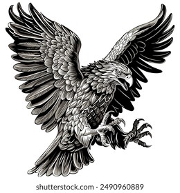 Vector drawn vintage style eagle depiction with Illustrator