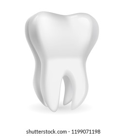 Vector drawning teeth. Isolated on white background.