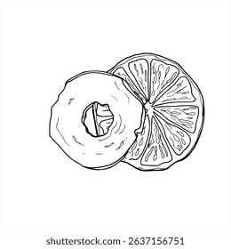 Vector dried apple and orange slices hand drawn monochrome illustration. Etching drawing of orange and apple slices ingredients for Christmas decorations, festive drink menus, baking packaging.