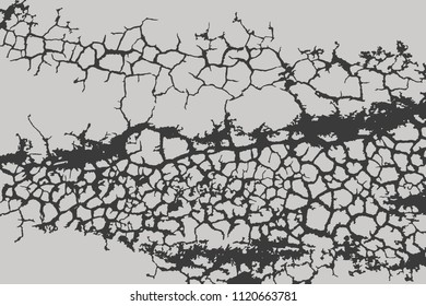 Vector Dried and Cracked ground.
