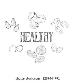 vector dried fruits,nuts and seed outline set