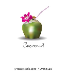  vector drink fresh coconut 