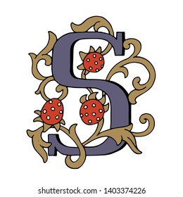 Vector drop cap. English letter S with Russian ornament. For a fabulous design. Capital letter. Making books with fairy tales.