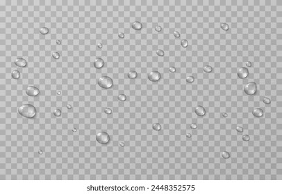 Vector drops png. Drops after rain, drops of dew. Condensation on the surface or glass.