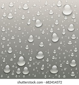 vector Drops of water on a grey background art