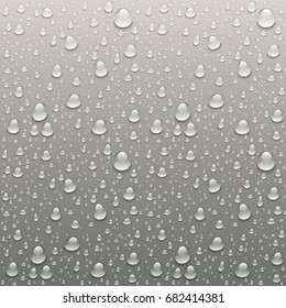vector Drops of water on a grey background art