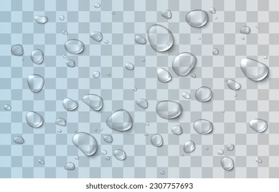 Vector drops of water. Drops png. Drops on the surface, on the glass png. Drops after rain. Condensation on the surface, on the glass.