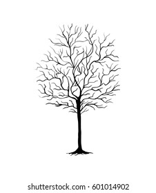 vector dry tree isolated illustration