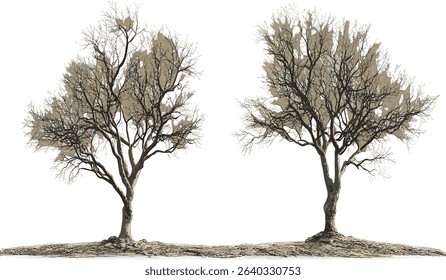 Vector dry trees, leafless, standing branches, isolated, transparent background, nature silhouette, autumn, winter trees, isolated tree design, seasonal landscape, dry twigs.