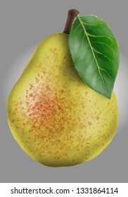 Vector Duchess pear with leaf