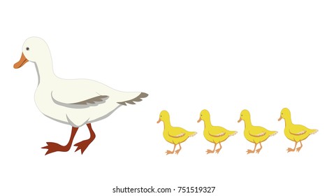 vector of duck and duckling
