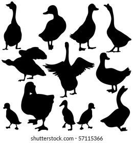 Vector Duck & Goose Silhouettes