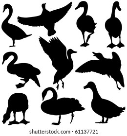 Vector Duck & Goose Silhouettes