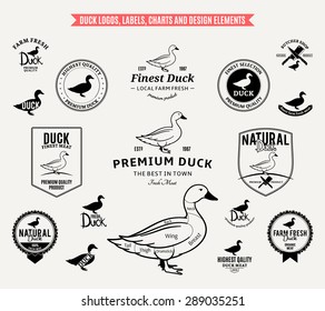 Vector duck labels and design elements