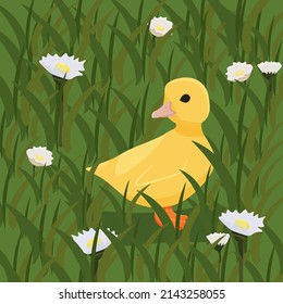 Vector duck on the grass. Yellow duckling in the park. Easter. Spring.