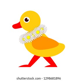 vector duckling with daisy wreath isolated on white background