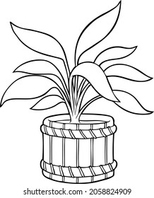 Vector Dumb Cane Plant On Pot Line Art