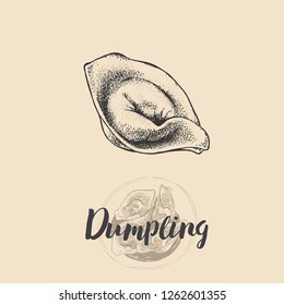 Vector dumpling illustration sketch. Hand drawn with vintage style. 