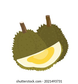 vector durian fruit on white backgound