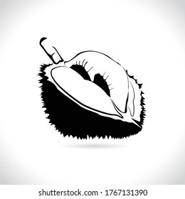 Vector of durian, logo and icon durian isolated on the white background.