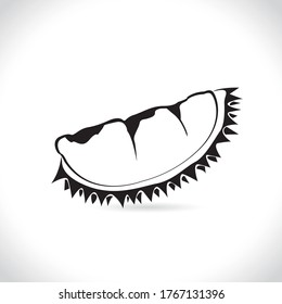 Vector of durian, logo and icon durian isolated on the white background.