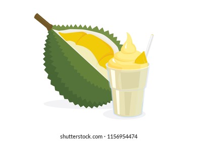 Vector durian smoothie drink isolated on white background. King of tropical fruits in thailand
