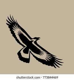 Vector of eagle design on brown background, Wild Animals. Bird.