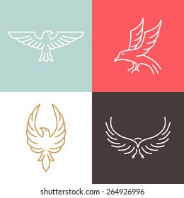 Vector eagle and falcon linear logo design templates - set of mono line icons