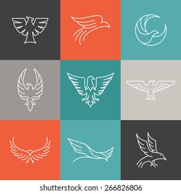 Vector eagle and falcon linear logo design templates - set of mono line icons