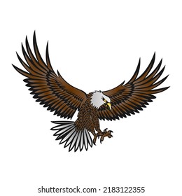 vector eagle in flight on white background