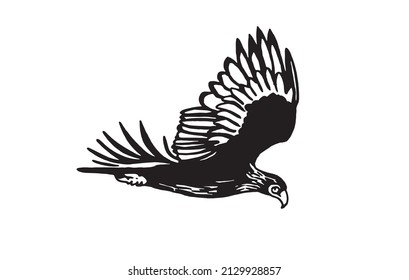Vector eagle flying ,graphical element of bird on white background