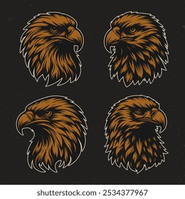 Vector of eagle head with monochrome style in black background