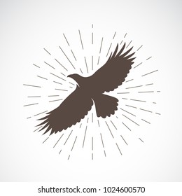 Vector of eagle on white background. Animal. Eagle symbol. Vector illustration for advertising and T-shirt graphics. Easy editable layered vector illustration.