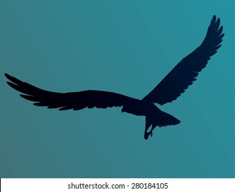 Vector Eagle Poses Silhouette