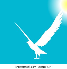 Vector Eagle Poses Silhouette