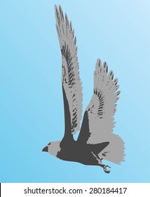 Vector Eagle Poses Silhouette