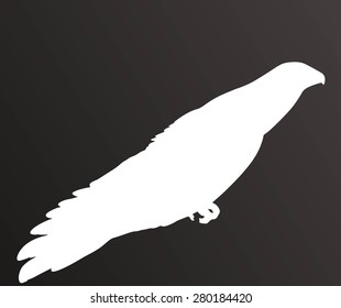 Vector Eagle Poses Silhouette