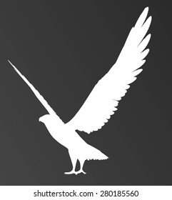 Vector Eagle Poses Silhouette