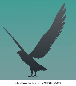 Vector Eagle Poses Silhouette