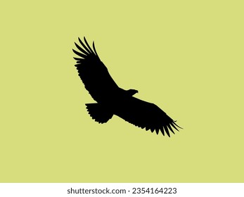 vector eagle silhouette illustration. flying eagle creative design.