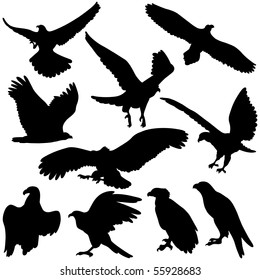 Vector Eagle silhouettes.