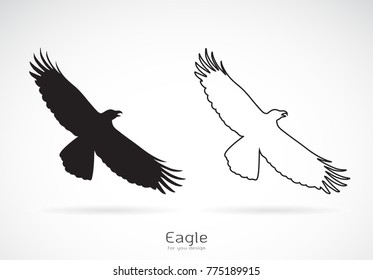 Vector of the eagle is spreading its wings. on white background, Wild Animals. Bird.