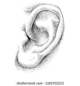 The Vector Ear Logo tattoo