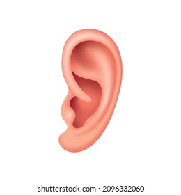 Vector ear in mesh gradient style