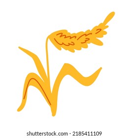 Vector ear of wheat with grains. Oat heap, yellow flakes for bakers, flour production design. Whole stems, organic vegan food packaging element. Isolated illustration.