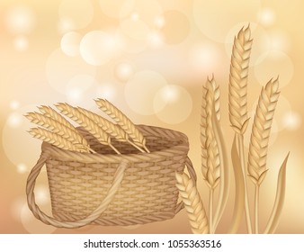Vector, ears of wheat, rye, field ears of grass, autumn harvest in a basket, natural blanks for bread, beer, realistic isolated vector illustration on a Colored 3D background, mesh, realistic illustra