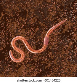 Vector earthworm in soil
