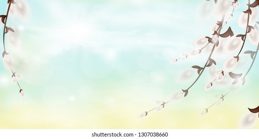 Vector easter card. Abstract spring background.
Nature background with a  willow branches and sun.
Spring branches.
